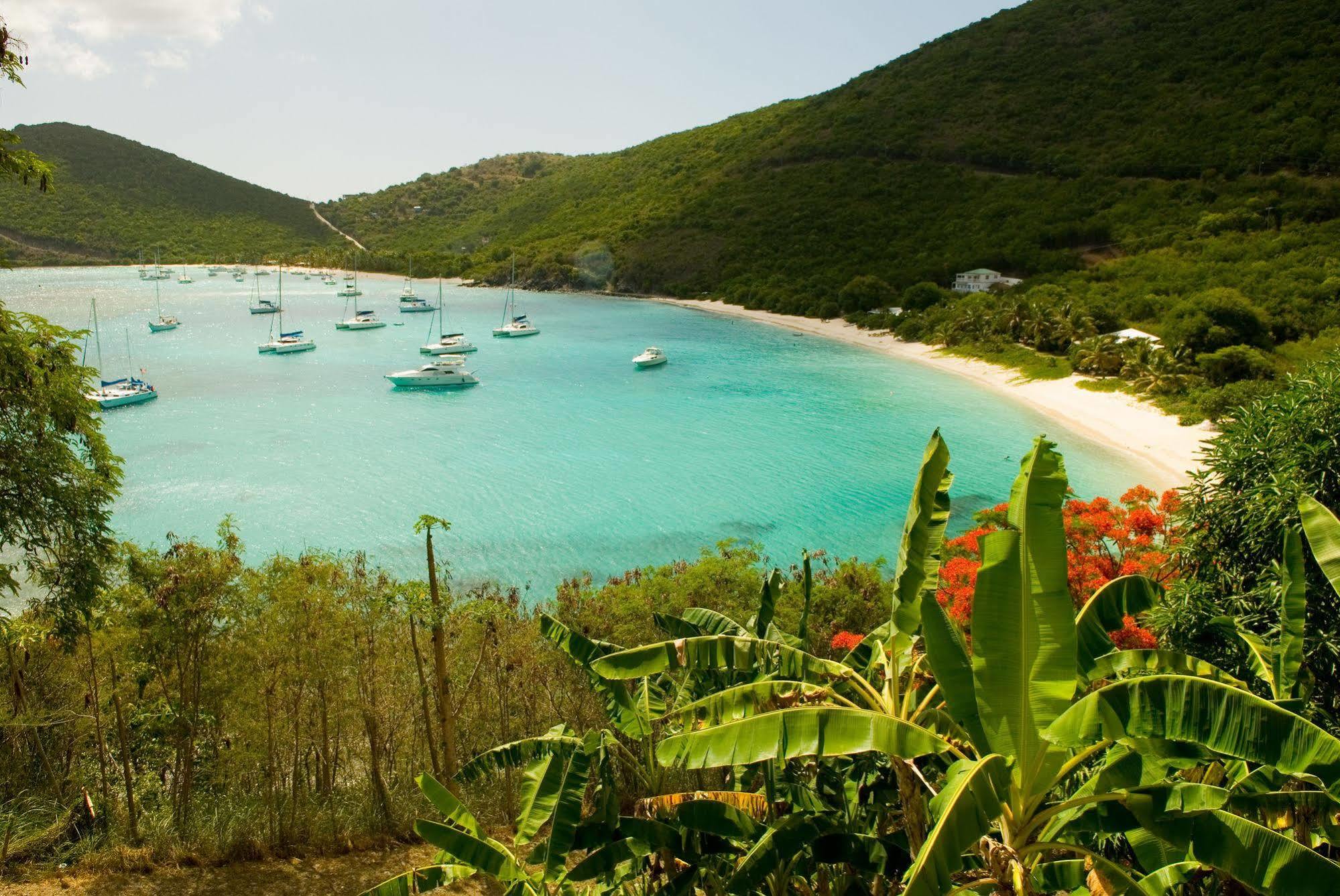 White Bay Villas And Beach Club Jost Van Dyke Eksteriør bilde